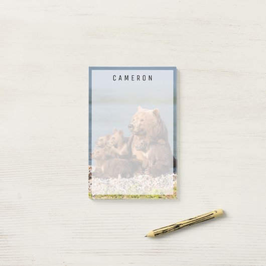 Post-it® Animaux de bébés cutest | Mère Ours & Cubs (Sur un bureau)