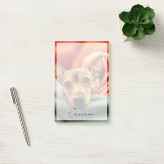 Post-it® Animaux de bébés cutest | Miniature Pinscher (Bureau)