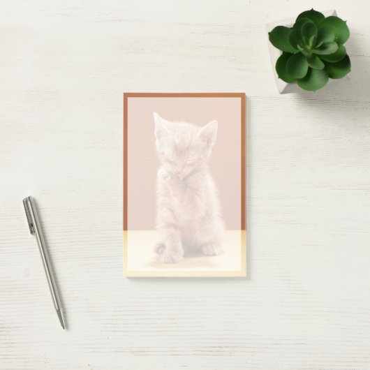 Post-it® Animaux de bébés cutest | Orange Tabby Kitten (Bureau)