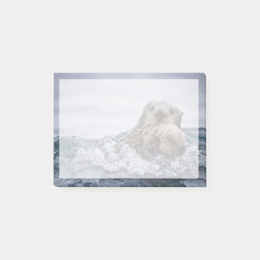 Post-it® Animaux de bébés cutest | Otter Baby & Mère (Devant)