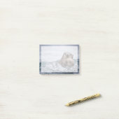 Post-it® Animaux de bébés cutest | Otter Baby & Mère (Sur un bureau)