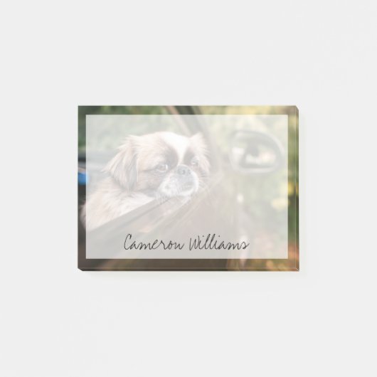 Post-it® Animaux de bébés cutest | Pekingese Chiot en voitu (Devant)