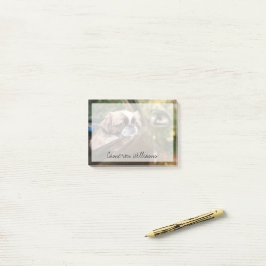 Post-it® Animaux de bébés cutest | Pekingese Chiot en voitu (Sur un bureau)