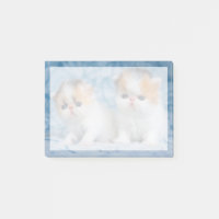 Animaux de bébés cutest | Persian Calico Kitten