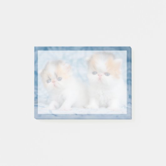 Post-it® Animaux de bébés cutest | Persian Calico Kitten (Devant)