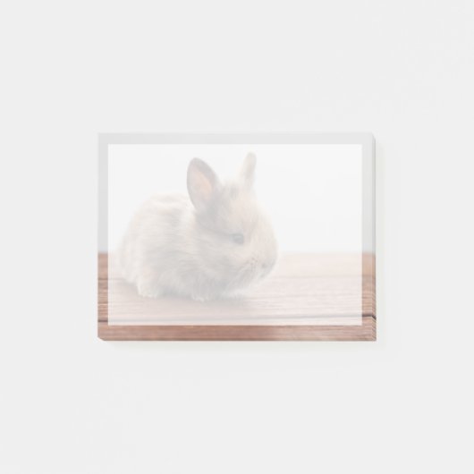 Post-it® Animaux de bébés cutest | Petit lapin bébé (Devant)