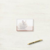 Post-it® Animaux de bébés cutest | Petit lapin bébé (Sur un bureau)