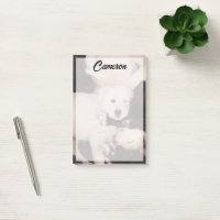 Animaux de bébés cutest | Pile de marionnettes