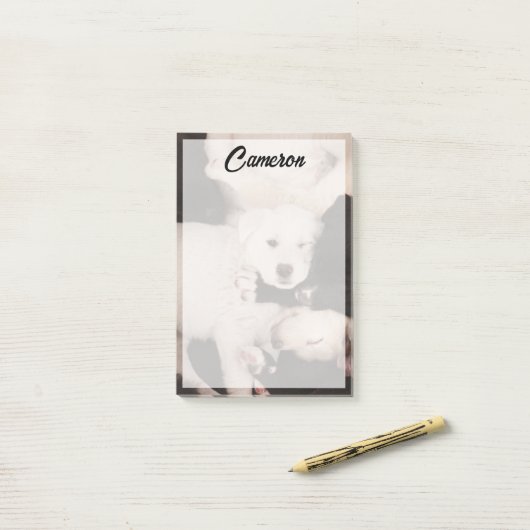 Post-it® Animaux de bébés cutest | Pile de marionnettes (Sur un bureau)