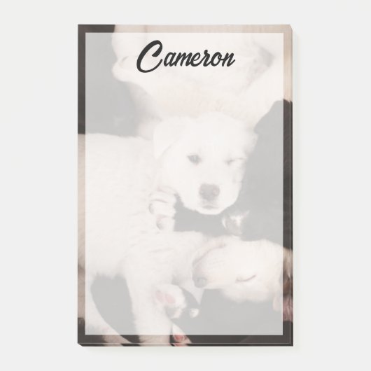 Post-it® Animaux de bébés cutest | Pile de marionnettes (Devant)