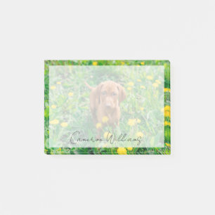 Post-it® Animaux de bébés cutest Pointeur