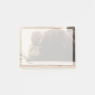 Post-it® Animaux de bébés cutest Pompe Otter nouveau-né