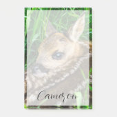 Post-it® Animaux de bébés cutest | Roe Deer Baby (Devant)