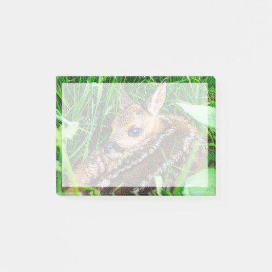 Post-it® Animaux de bébés cutest | Roe Deer Baby (Devant)