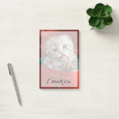 Post-it® Animaux de bébés cutest | Scottish Fold Kitten (Bureau)