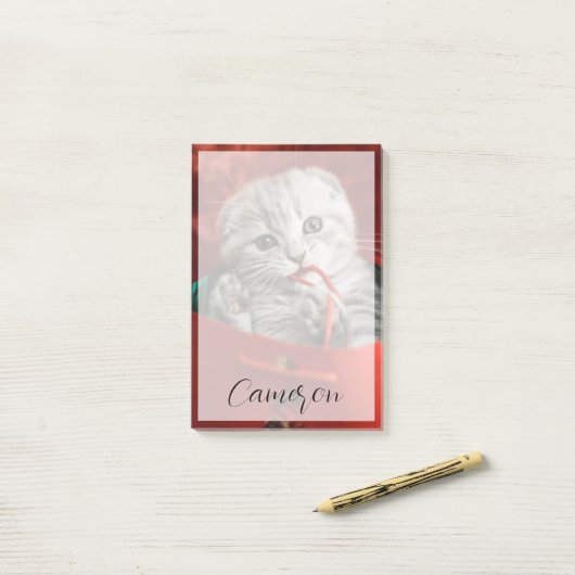 Post-it® Animaux de bébés cutest | Scottish Fold Kitten (Sur un bureau)