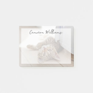 Post-it® Animaux de bébés cutest Shorthair Tabby Kitten