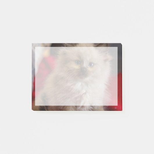 Post-it® Animaux de bébés cutest | Siamese Kitten (Devant)