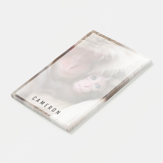 Post-it® Animaux de bébés cutest | Singe des neiges (Incliné)