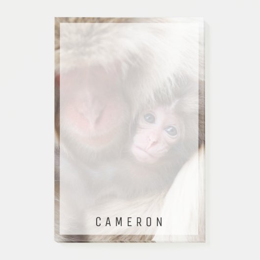 Post-it® Animaux de bébés cutest | Singe des neiges (Devant)