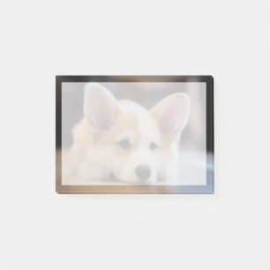 Post-it® Animaux de bébés cutest Sleepy Corgi Puppy