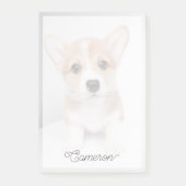 Post-it® Animaux de bébés cutest | Tiny Corgi (Devant)