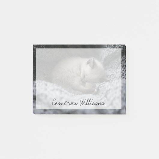 Post-it® Animaux de bébés cutest | Tiny Kitten Dormir (Devant)