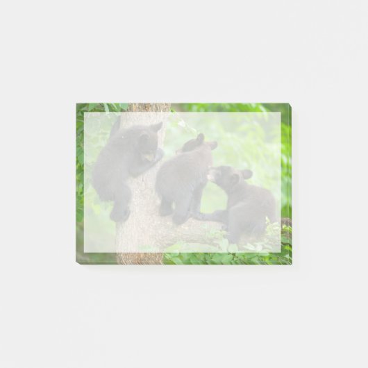 Post-it® Animaux de bébés cutest | Trois jeunes petits ours (Devant)