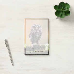 Post-it® Animaux de bébés cutest Un hibou-bébé