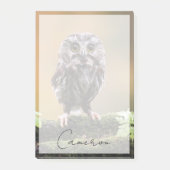 Post-it® Animaux de bébés cutest | Un hibou-bébé (Devant)
