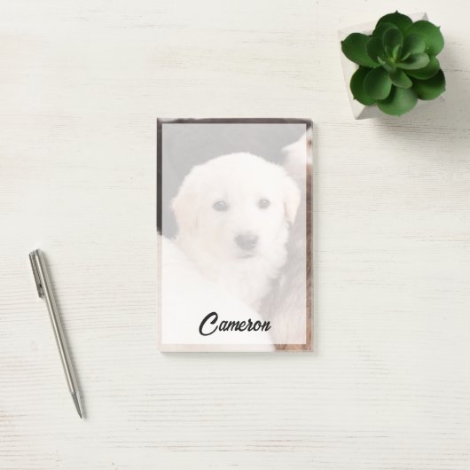 Post-it® Animaux de bébés cutest | Un mignon seau de chiots (Bureau)