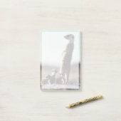 Post-it® Animaux de bébés cutest | Une famille de Meerkats (Sur un bureau)