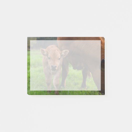 Post-it® Animaux de bébés cutest | Vache et veau (Devant)