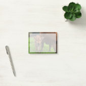 Post-it® Animaux de bébés cutest | Vache et veau (Bureau)