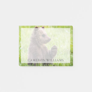 Post-it® Animaux de bébés cutest Vague d'ours Brown
