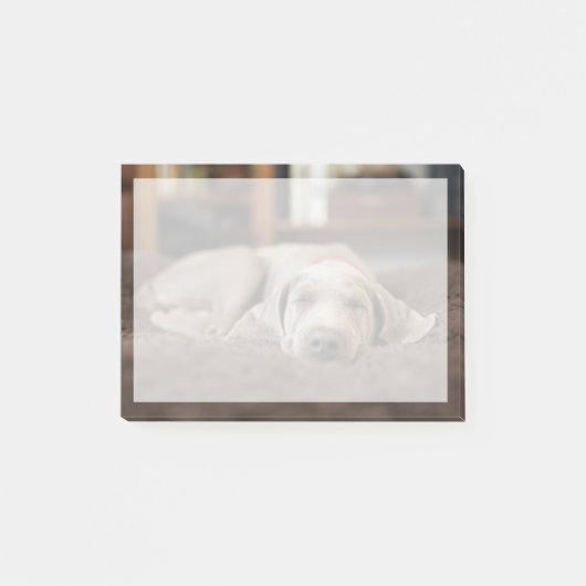 Post-it® Animaux de bébés cutest | Weimaraner Puppy Sleepin (Devant)