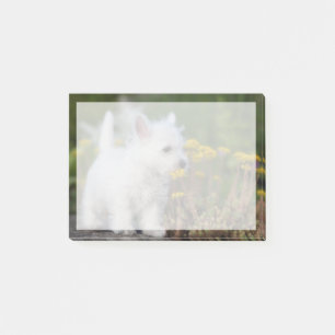 Post-it® Animaux de bébés cutest   West Highland White Terr