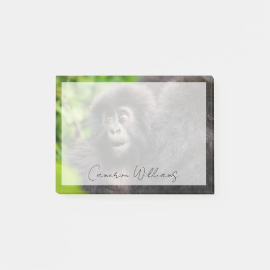 Post-it® Animaux de bébés cutest | Young Mountain Gorilla (Devant)