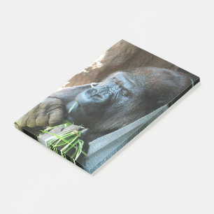 Post-it® Ape hood ~ Japonais Gorilla Manger