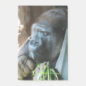 Post-it® Ape hood ~ Japonais Gorilla Manger (Devant)