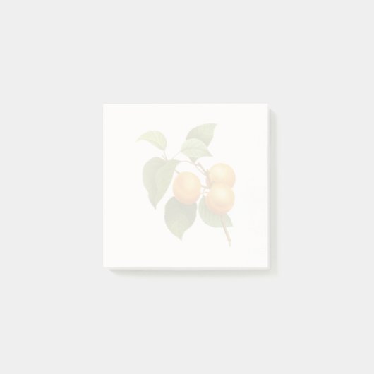 Post-it® Apricots orange vintage (Devant)