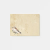 Aquarelle Kestrel Falcon Oiseau Bruant Hawk