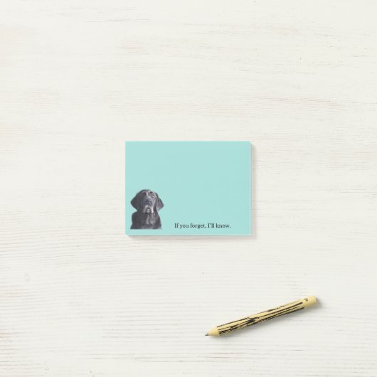 Post-it® Arleigh dans Sun Final Post Notes It (Sur un bureau)