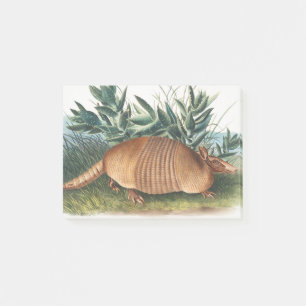 Post-it® Armadillo Beige Or Neuf