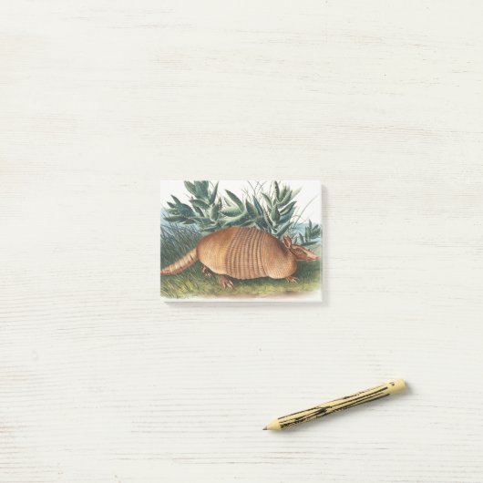 Post-it® Armadillo Beige Or Neuf (Sur un bureau)