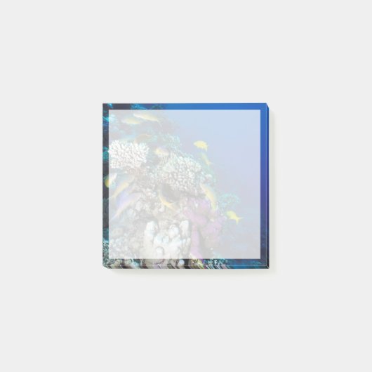 Post-it® Around Small Coral (Devant)