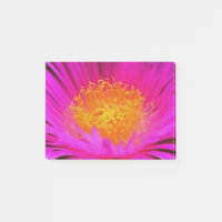 Art Artistique Magenta Rose Aster Flower Floral Ar