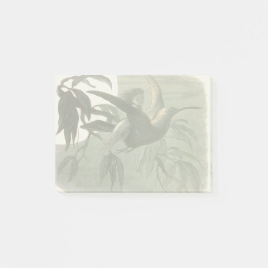 Post-it® Art de nuit de vol de lutin magique (Devant)