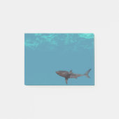 Post-it® Attaque de grand requin blanc Océan (Devant)