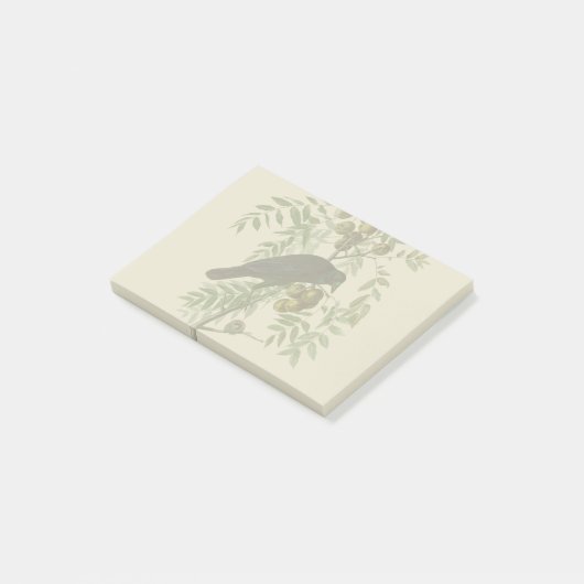 Post-it® Audubon American Crow Black Bird (Incliné)